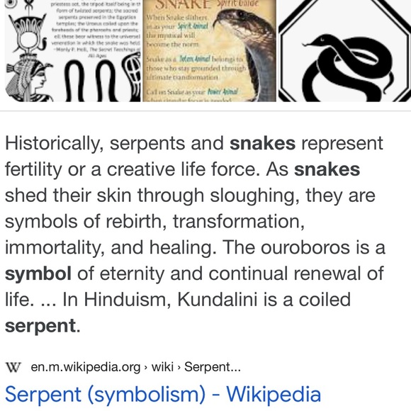 Vintage Snake Leather Belt - Picture 4 of 12